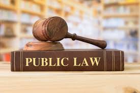 LAWS 1021 Principles of Public Law Assignment 3 – Australia